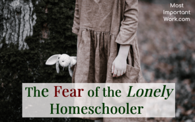 The Fear Of The Lonely Homeschooler
